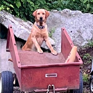 Meet your Posher, Laura